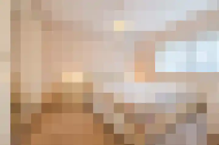 Rietven 276 Veghel thumbnail 17