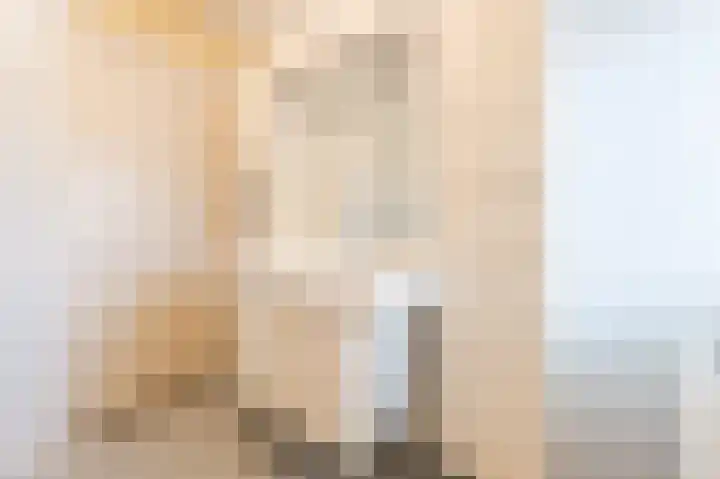 Rietven 276 Veghel thumbnail 23