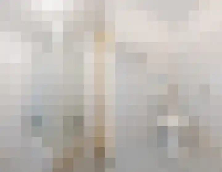Rietven 276 Veghel thumbnail 24