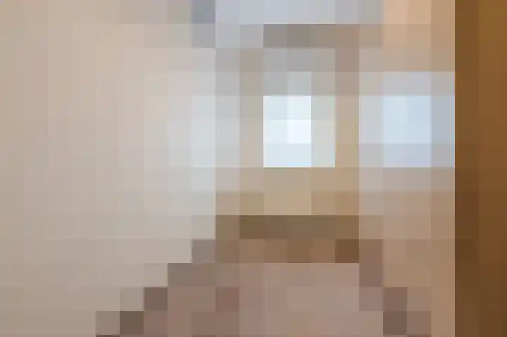 Rietven 276 Veghel thumbnail 25