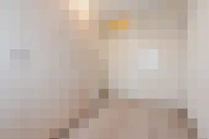 Rietven 276 Veghel thumbnail 26