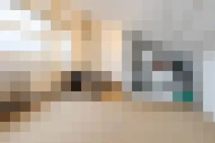 Rietven 276 Veghel thumbnail 30