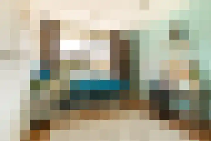 Rietven 276 Veghel thumbnail 33