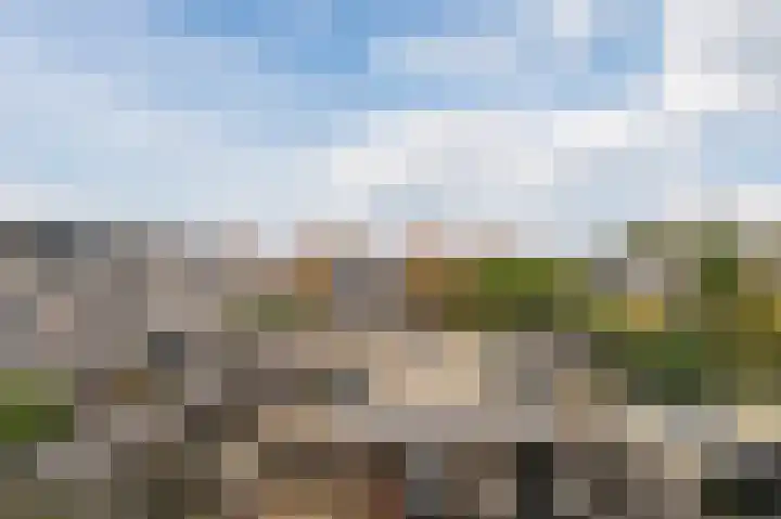 Rietven 276 Veghel thumbnail 34