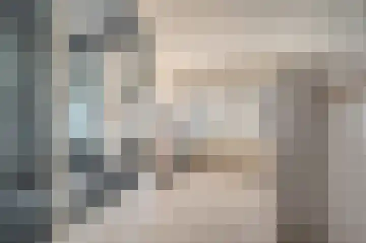 Rietven 276 Veghel thumbnail 35