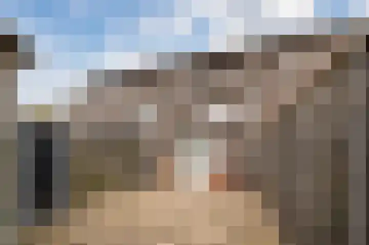 Rietven 276 Veghel thumbnail 37