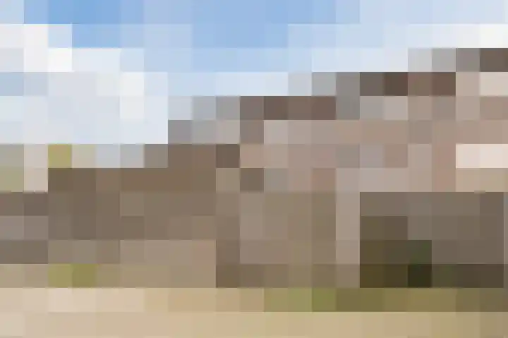 Rietven 276 Veghel thumbnail 38