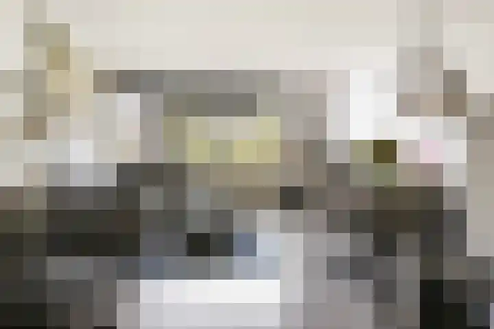 Rietven 276 Veghel thumbnail 39