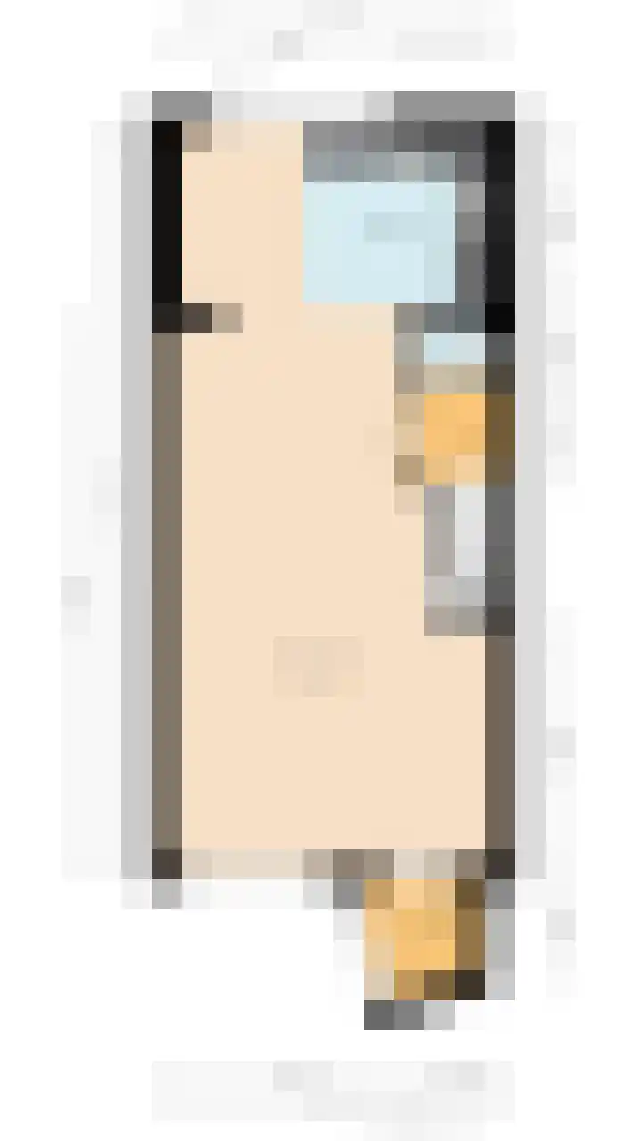 Rietven 276 Veghel thumbnail 39