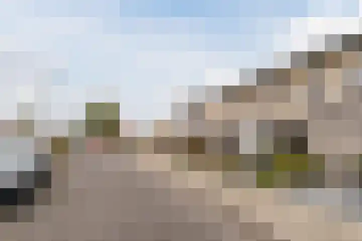 Rietven 276 Veghel thumbnail 4