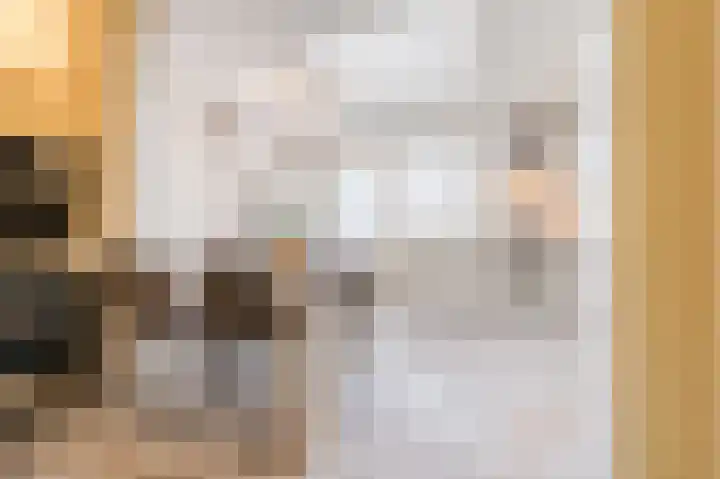 Rietven 276 Veghel thumbnail 9