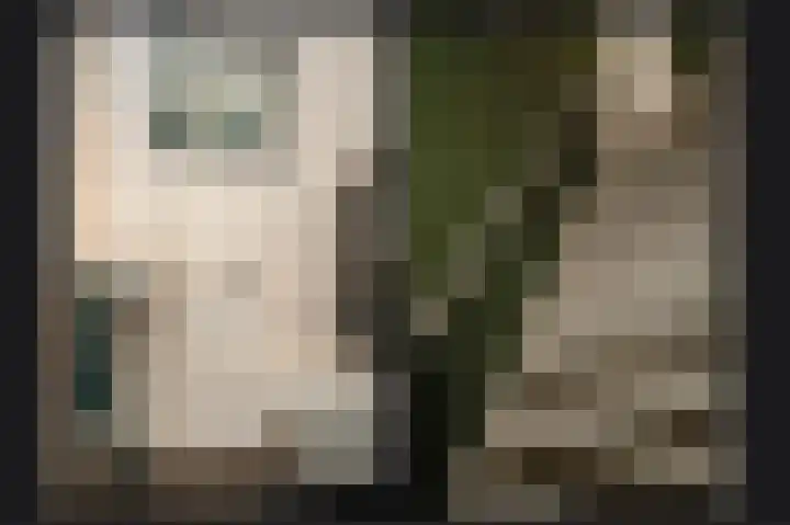 Rietven 277 Veghel thumbnail 12
