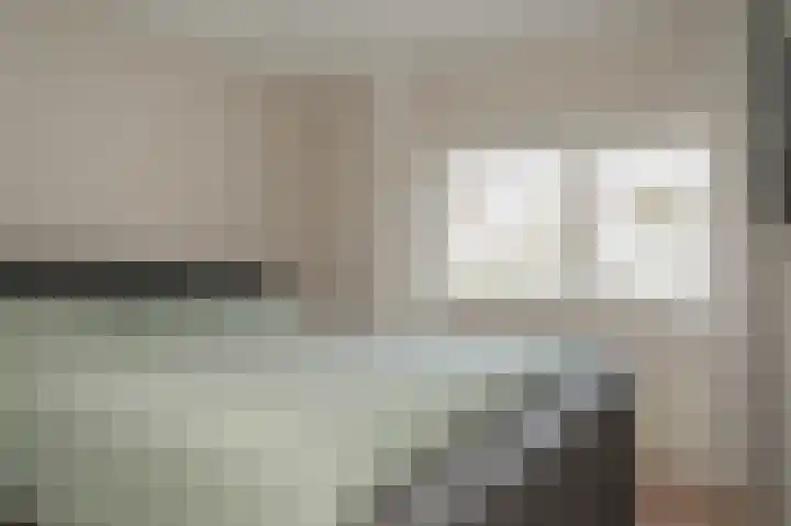 Rietven 277 Veghel thumbnail 13