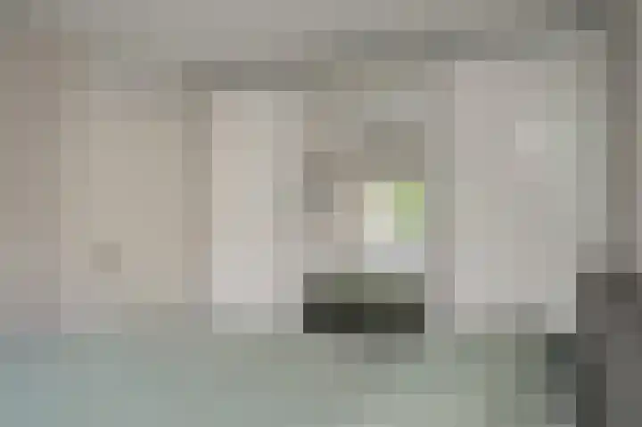 Rietven 277 Veghel thumbnail 14