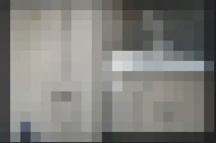 Rietven 277 Veghel thumbnail 17