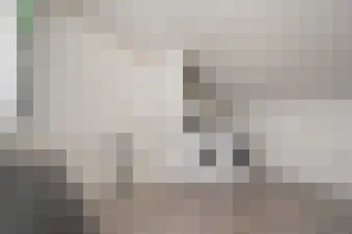 Rietven 277 Veghel thumbnail 21