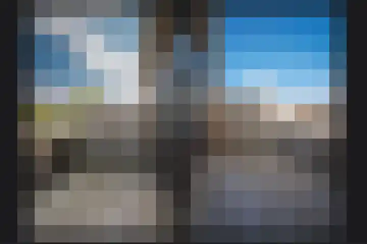 Rietven 277 Veghel thumbnail 23