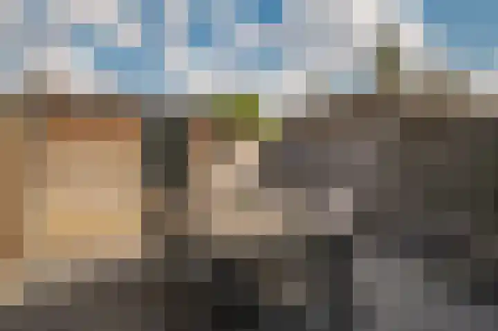 Rietven 277 Veghel thumbnail 25