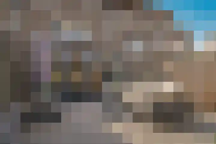 Rietven 277 Veghel thumbnail 26