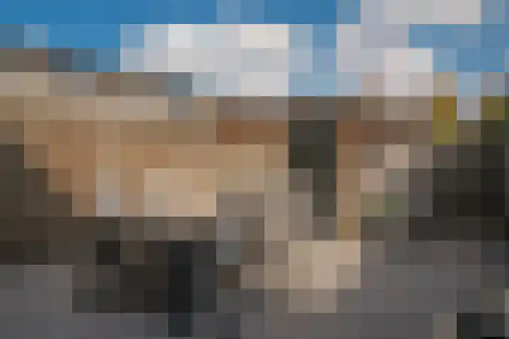 Rietven 277 Veghel thumbnail 27