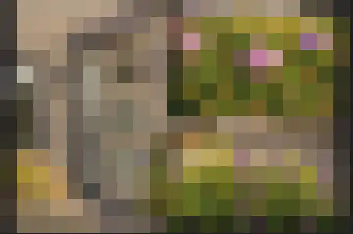 Rietven 277 Veghel thumbnail 28