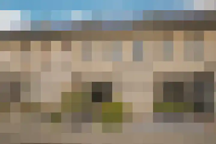 Rietven 277 Veghel thumbnail 29