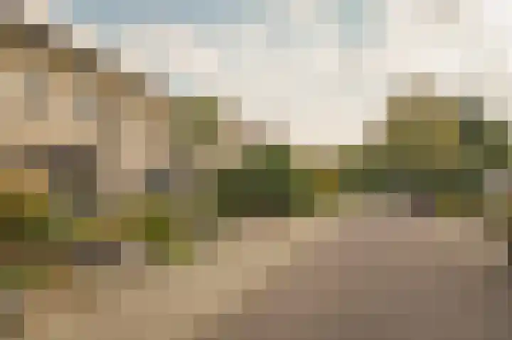Rietven 277 Veghel thumbnail 30