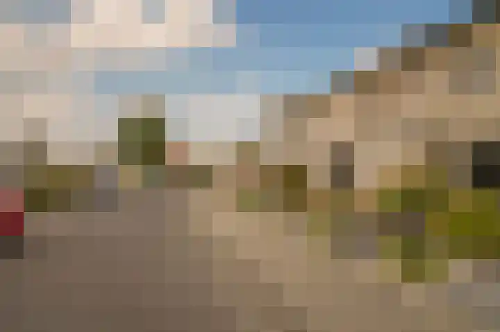 Rietven 277 Veghel thumbnail 31