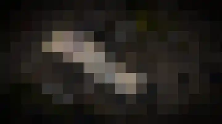 Rietven 277 Veghel thumbnail 32
