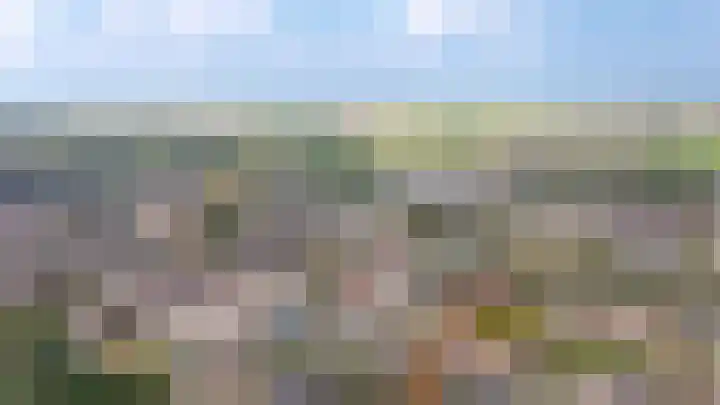 Rietven 277 Veghel thumbnail 35