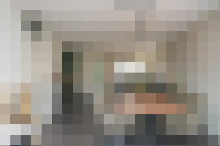 Rietven 277 Veghel thumbnail 4
