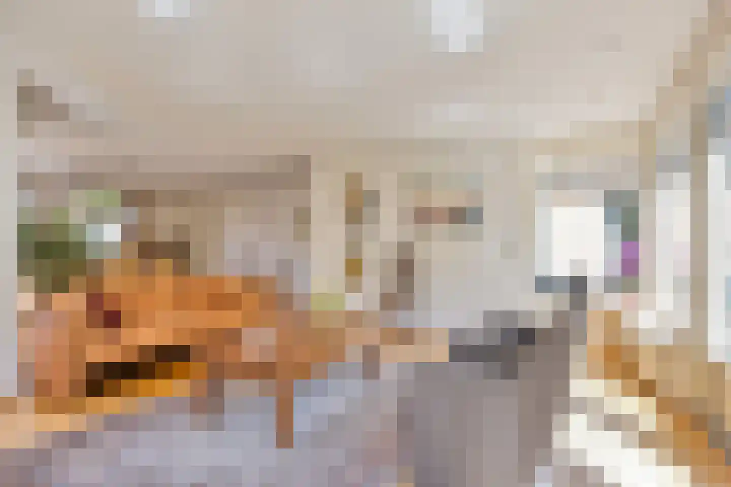 Rietven 327 Veghel thumbnail 11