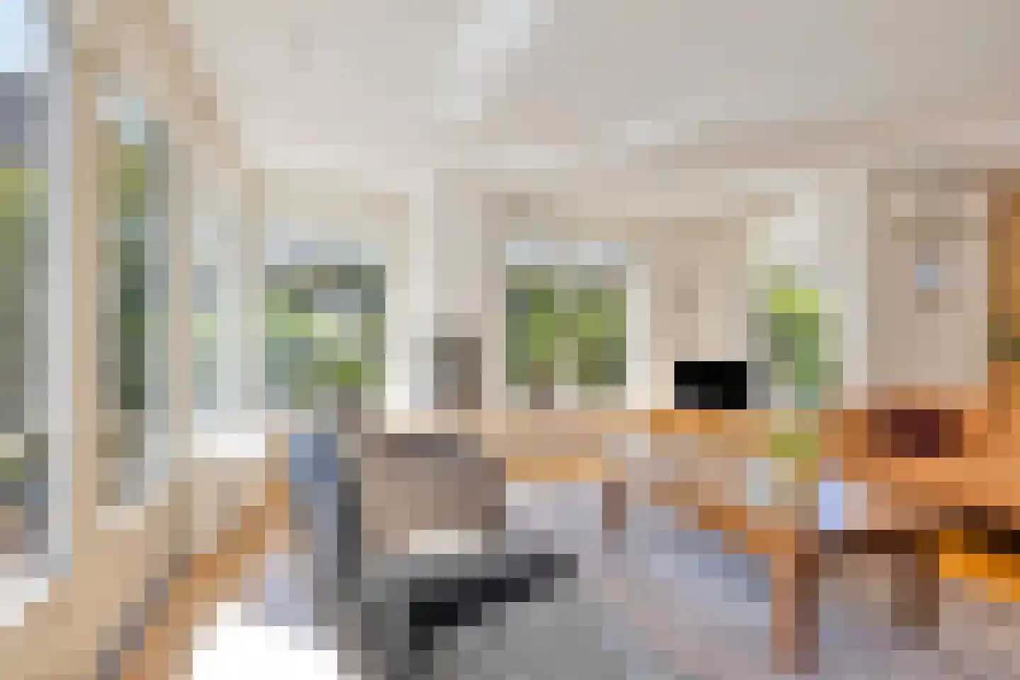 Rietven 327 Veghel thumbnail 12