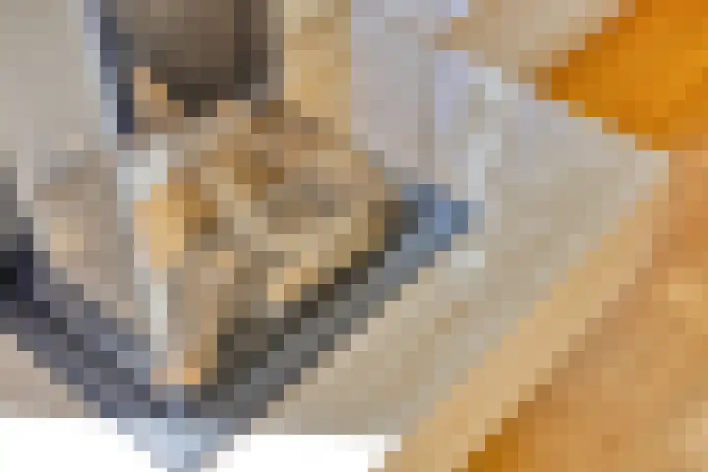 Rietven 327 Veghel thumbnail 14