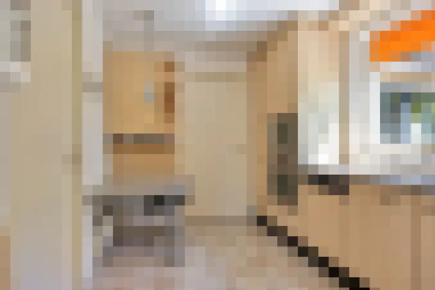 Rietven 327 Veghel thumbnail 20