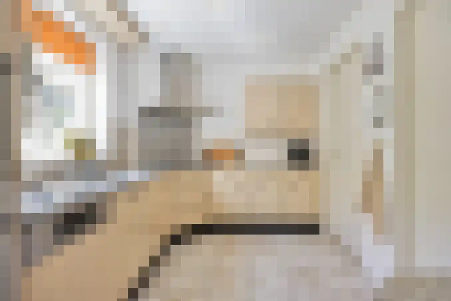 Rietven 327 Veghel thumbnail 21