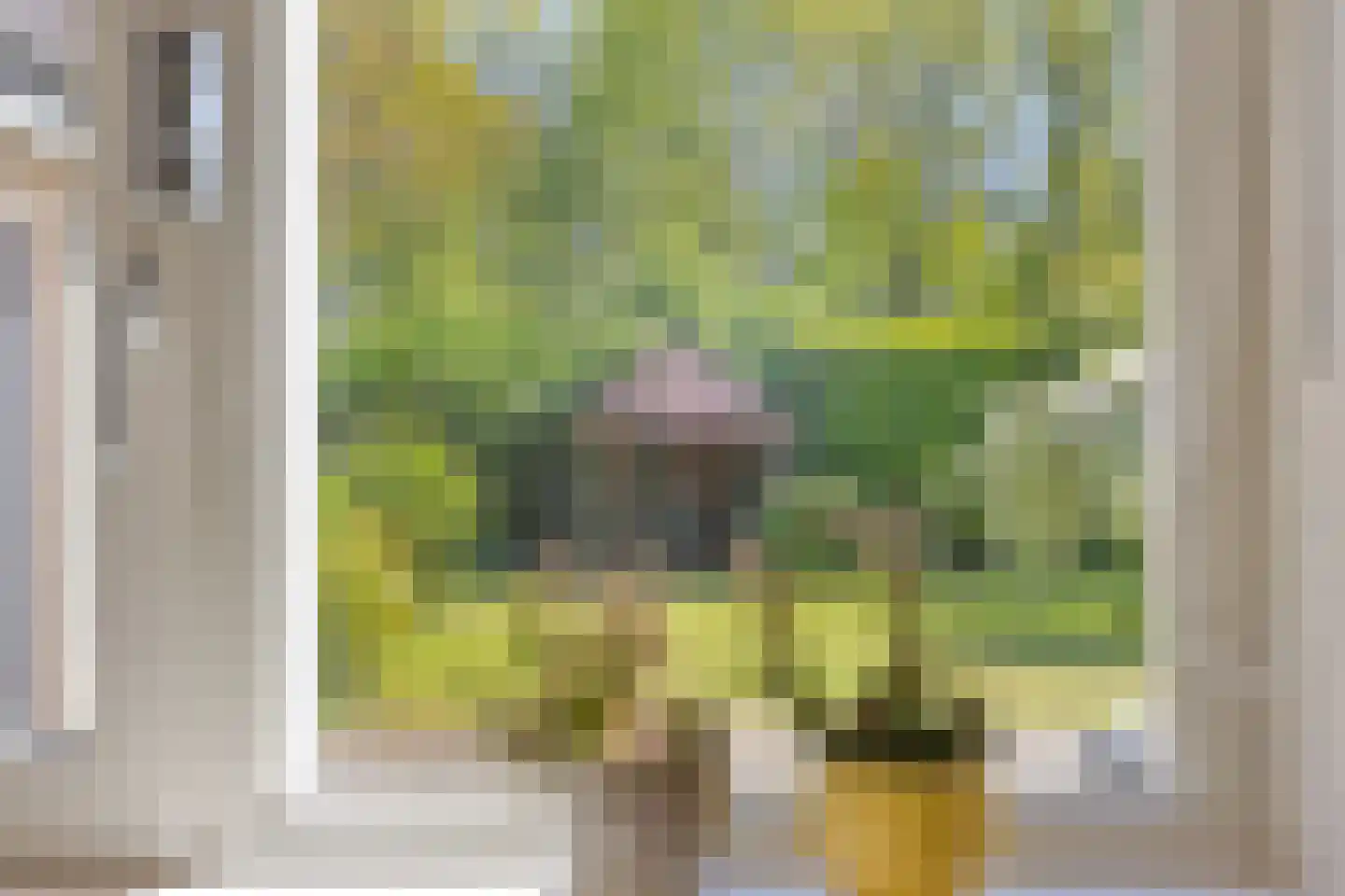 Rietven 327 Veghel thumbnail 22