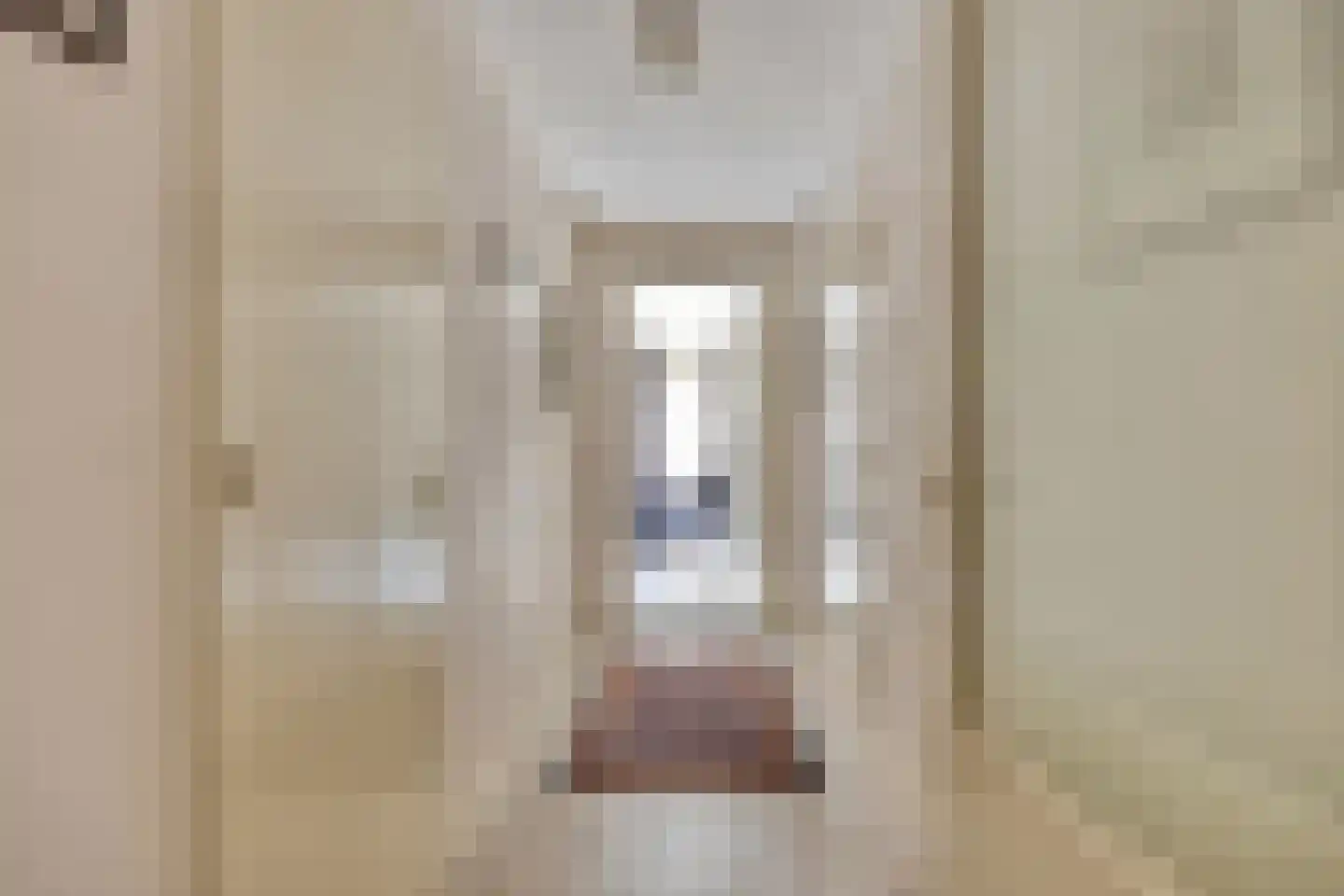 Rietven 327 Veghel thumbnail 23