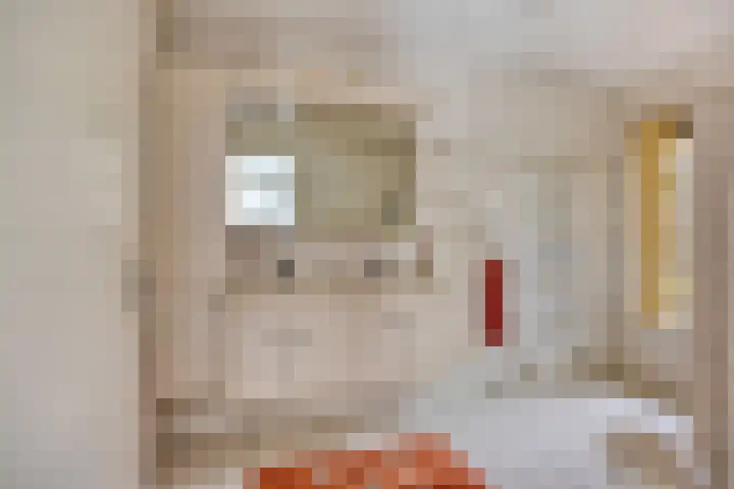 Rietven 327 Veghel thumbnail 24
