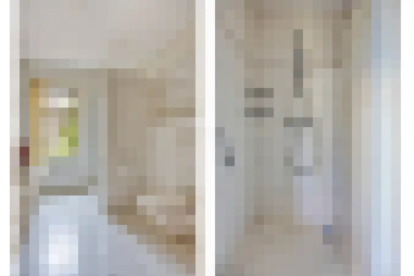 Rietven 327 Veghel thumbnail 25
