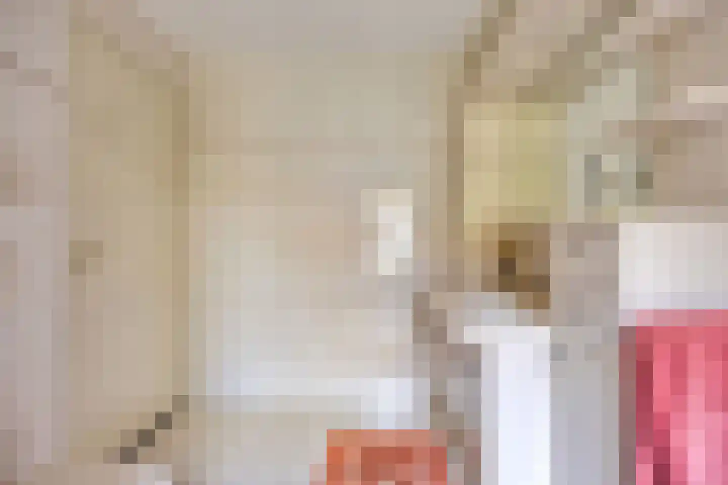 Rietven 327 Veghel thumbnail 26