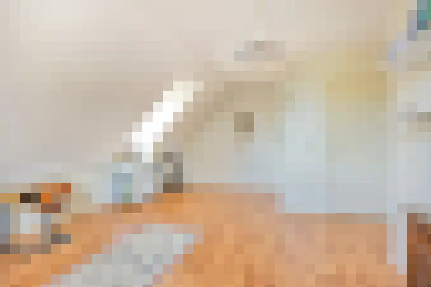 Rietven 327 Veghel thumbnail 34