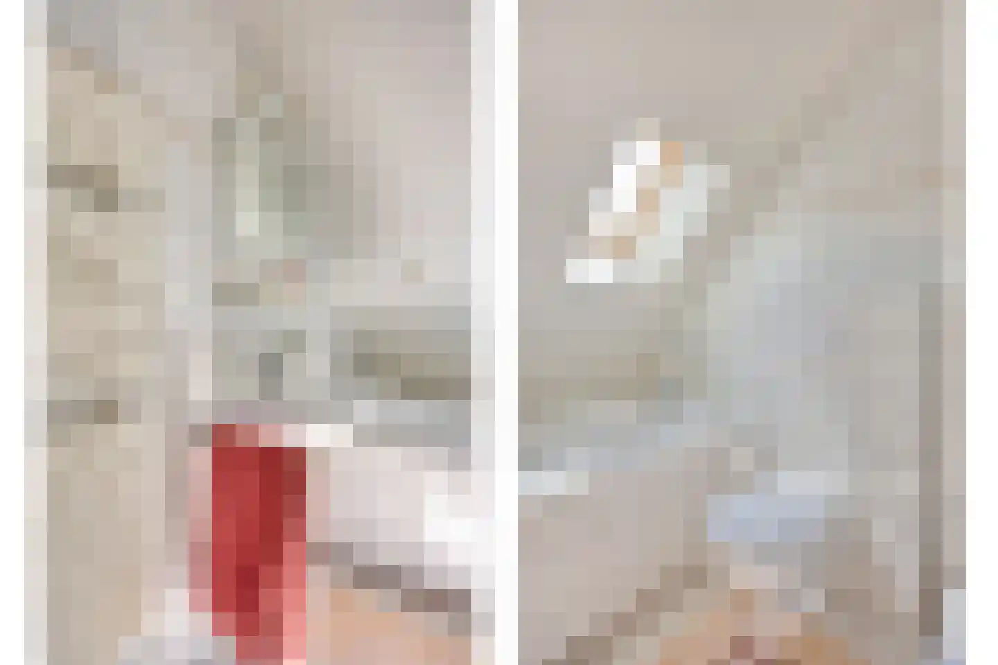 Rietven 327 Veghel thumbnail 37