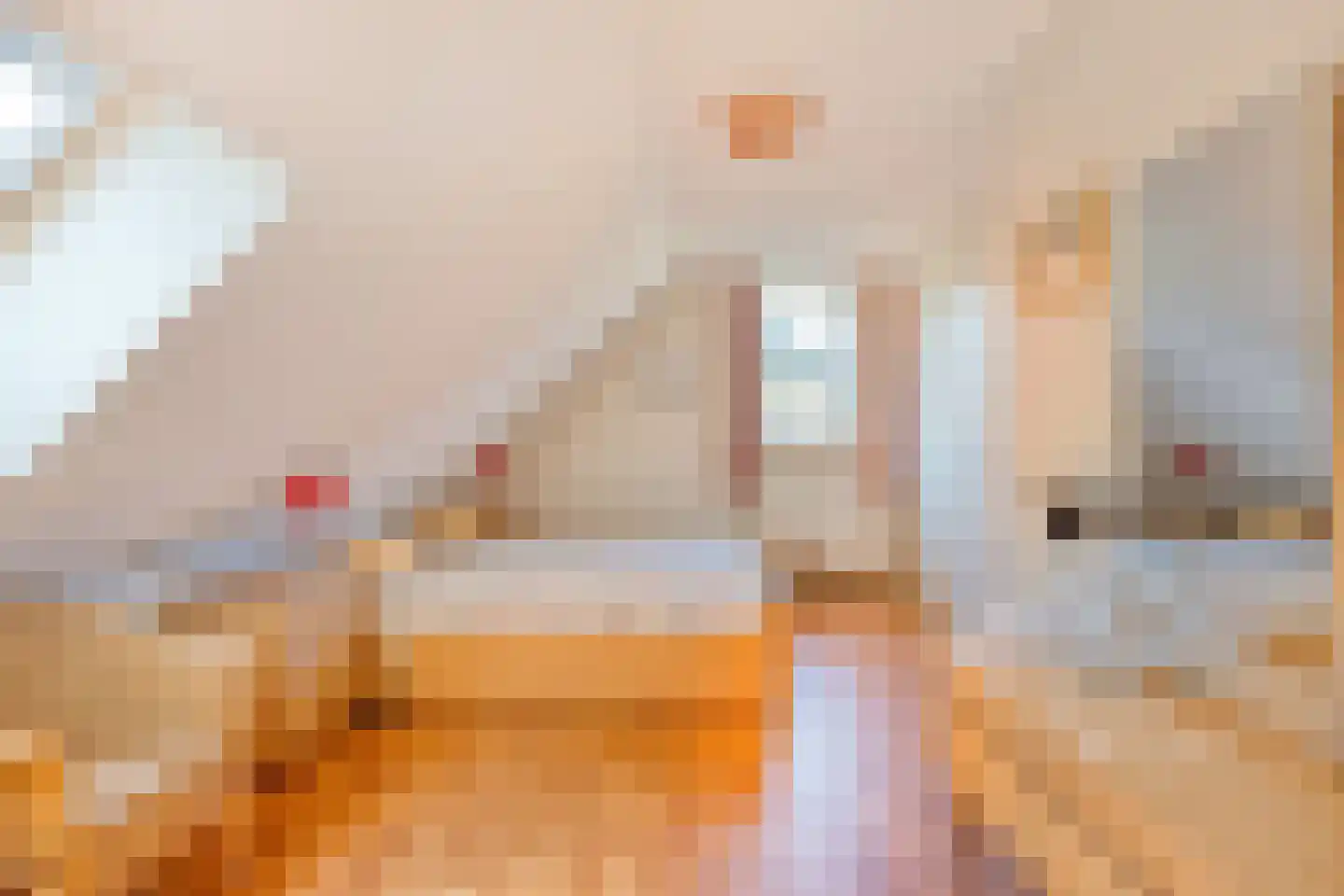 Rietven 327 Veghel thumbnail 39