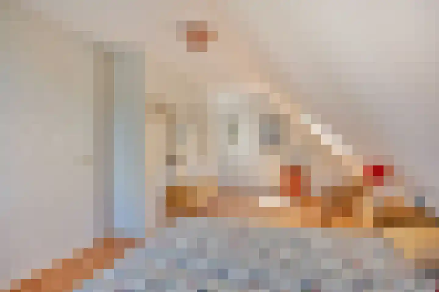 Rietven 327 Veghel thumbnail 41