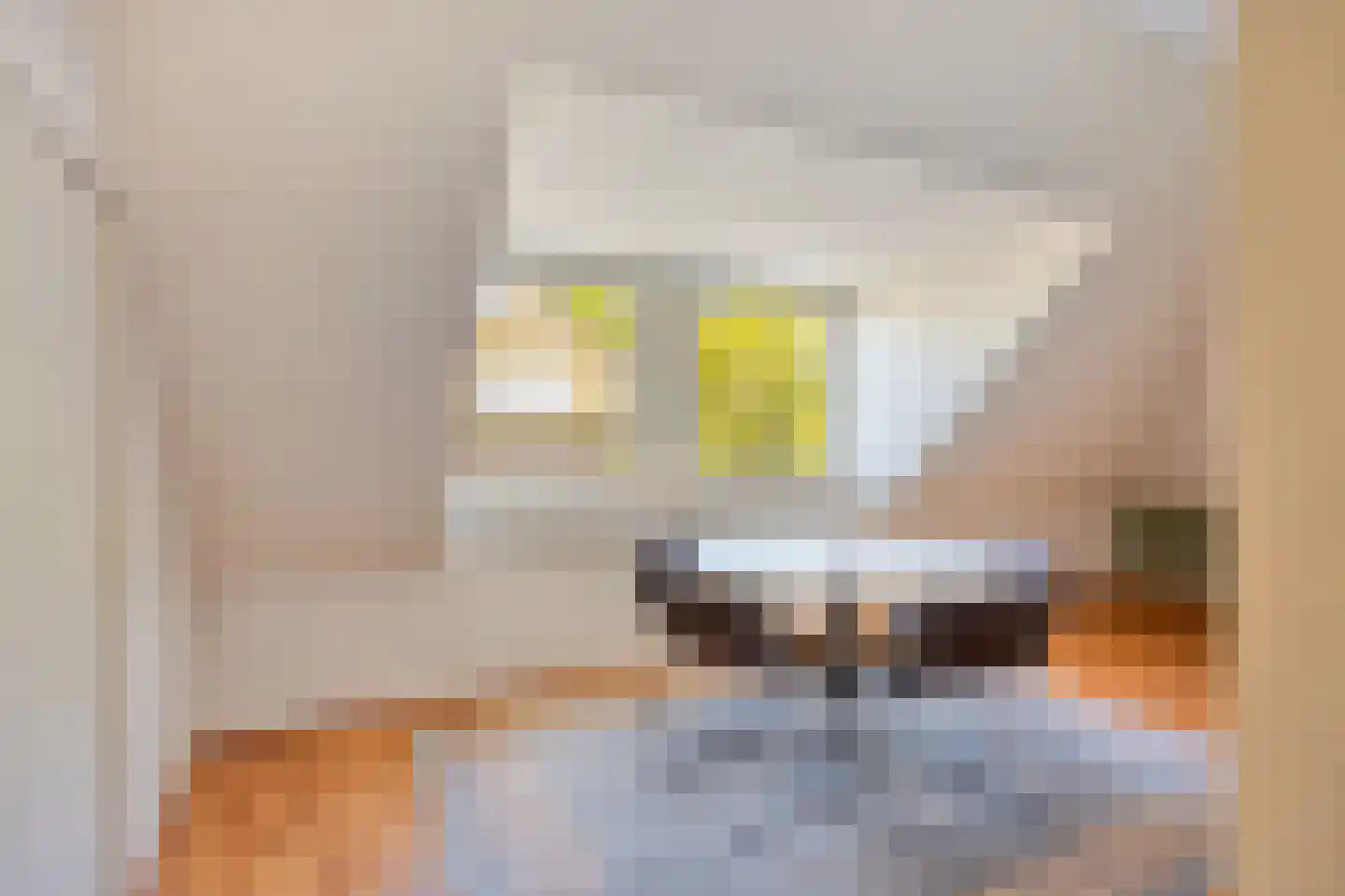 Rietven 327 Veghel thumbnail 42