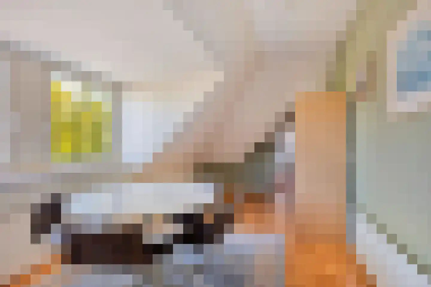 Rietven 327 Veghel thumbnail 43