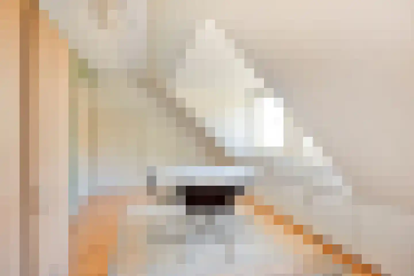 Rietven 327 Veghel thumbnail 44