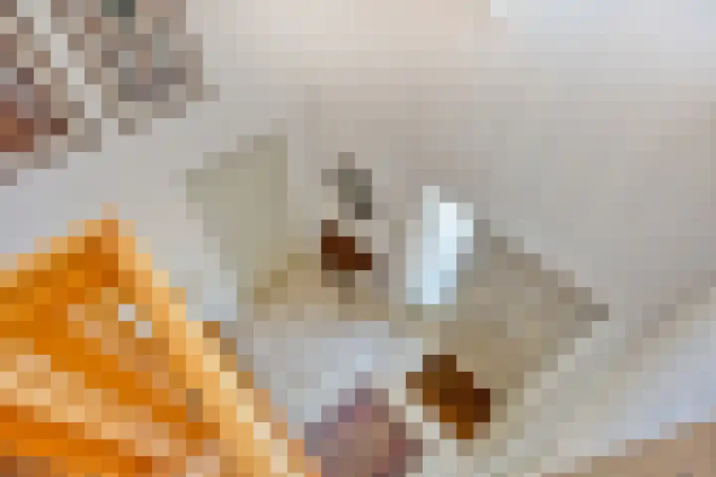 Rietven 327 Veghel thumbnail 46