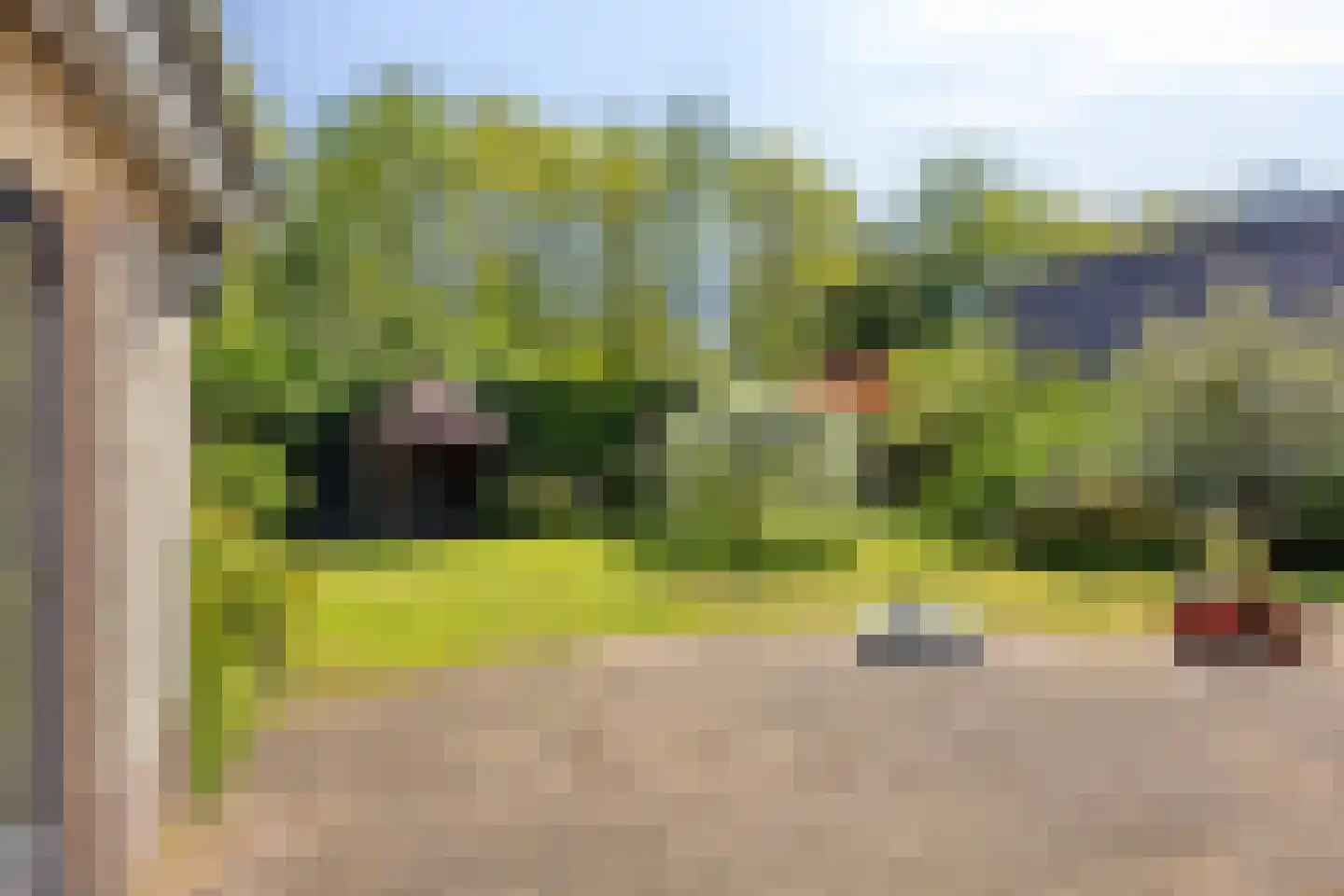 Rietven 327 Veghel thumbnail 47